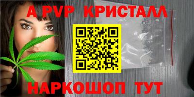 прущие грибы Усть-Илимск